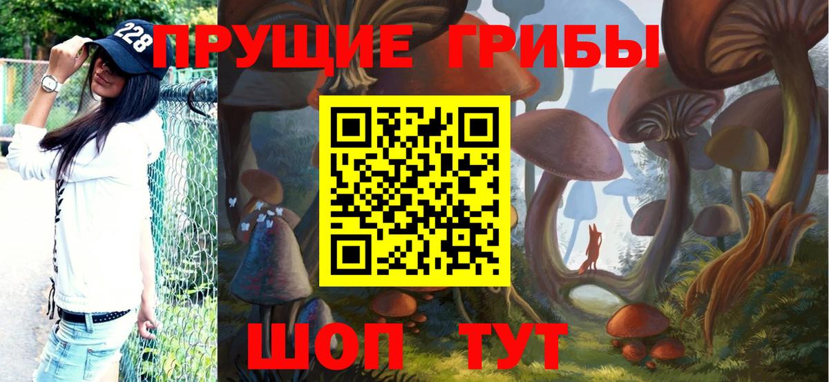 Кудрово  Псилоцибиновые грибы Psilocybe  Вход с VPN 